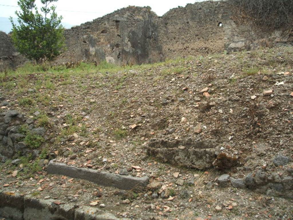 IX.3.22 May 2005. Looking south-west from Vicolo di Tesmo, with doorway threshold just visible, and remains of painted wall plaster on rear wall, to the right.
