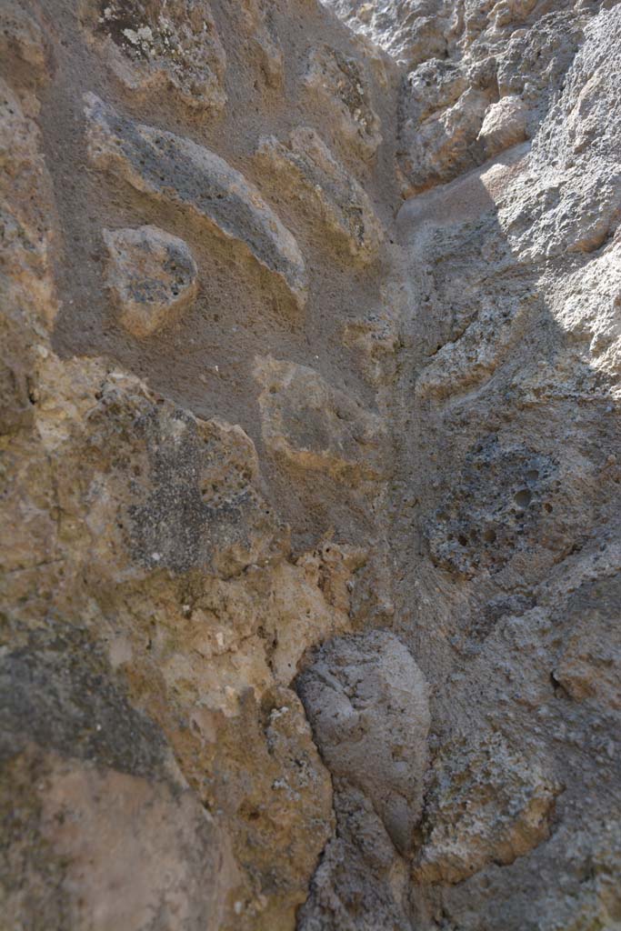 IX.5.6 Pompeii. May 2017. Room t, upper south-west corner.
Foto Christian Beck, ERC Grant 681269 DCOR.
