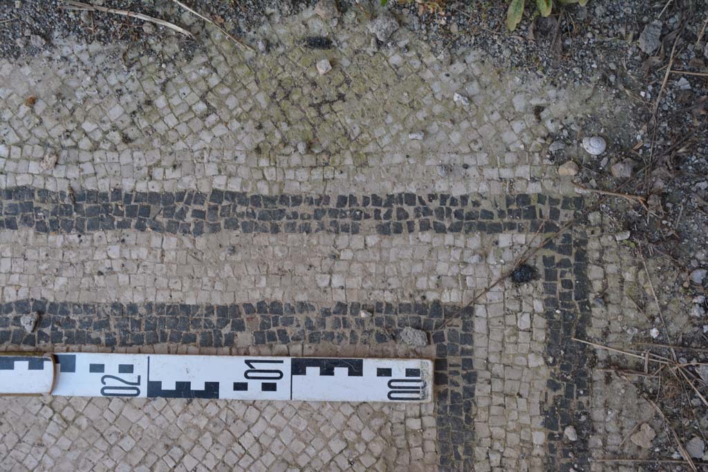 IX.5.6 Pompeii. May 2017. West ala d, flooring at corner of room.
Foto Christian Beck, ERC Grant 681269 DCOR.
