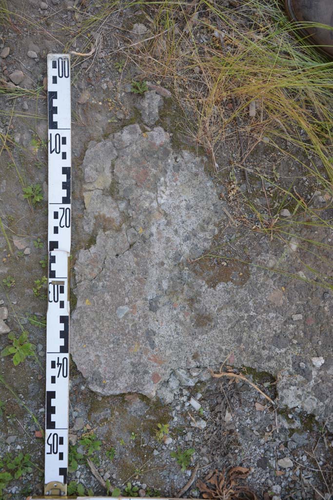 IX.5.11 Pompeii. May 2017. Room e, detail of flooring.
Foto Christian Beck, ERC Grant 681269 DCOR.

