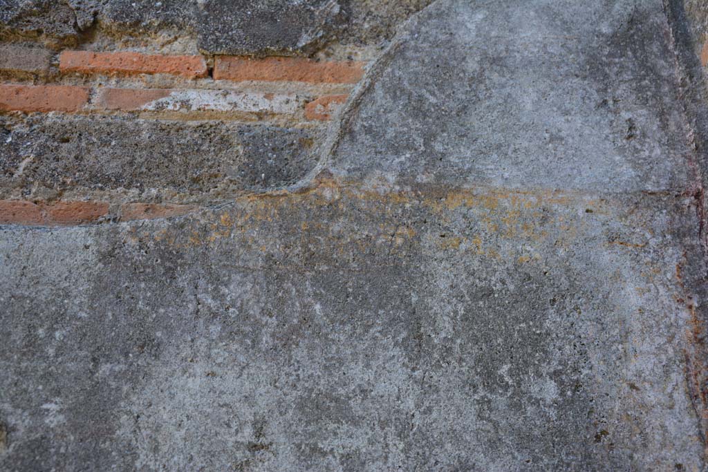 IX.5.11 Pompeii. May 2017. Room d, east wall, detail of remaining painted decoration.
Foto Christian Beck, ERC Grant 681269 DCOR.

