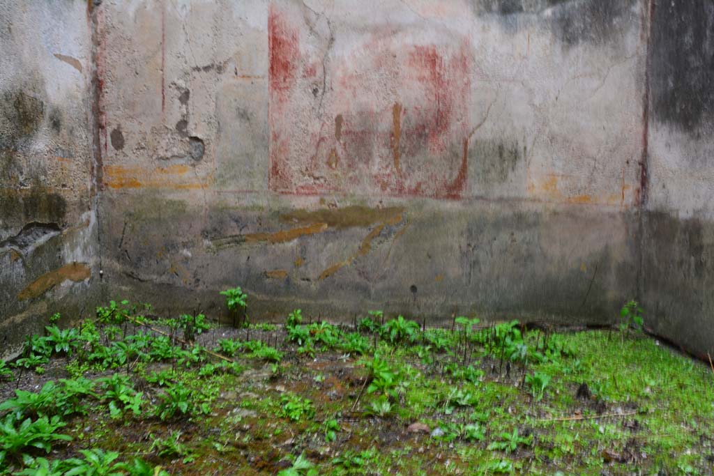 IX.5.11 Pompeii. March 2017. Room d, looking across flooring towards lower north wall.     
Foto Christian Beck, ERC Grant 681269 DCOR

