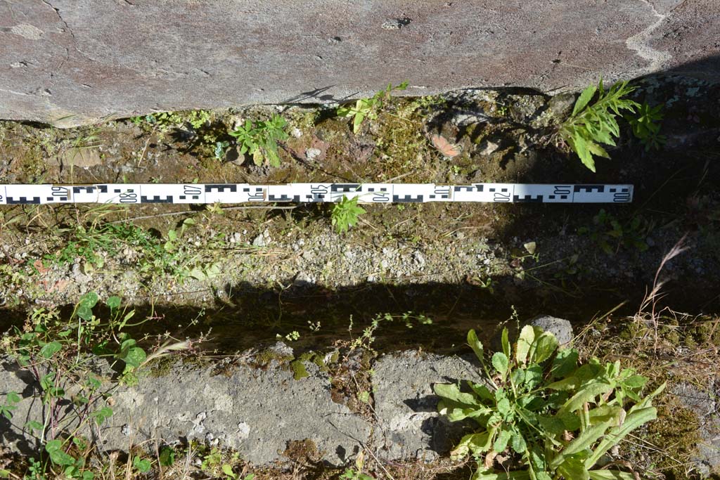 IX.5.11 Pompeii. May 2017. Peristyle n, south wall of garden area, and detail from rear of triclinium. 
Foto Christian Beck, ERC Grant 681269 DÉCOR.
