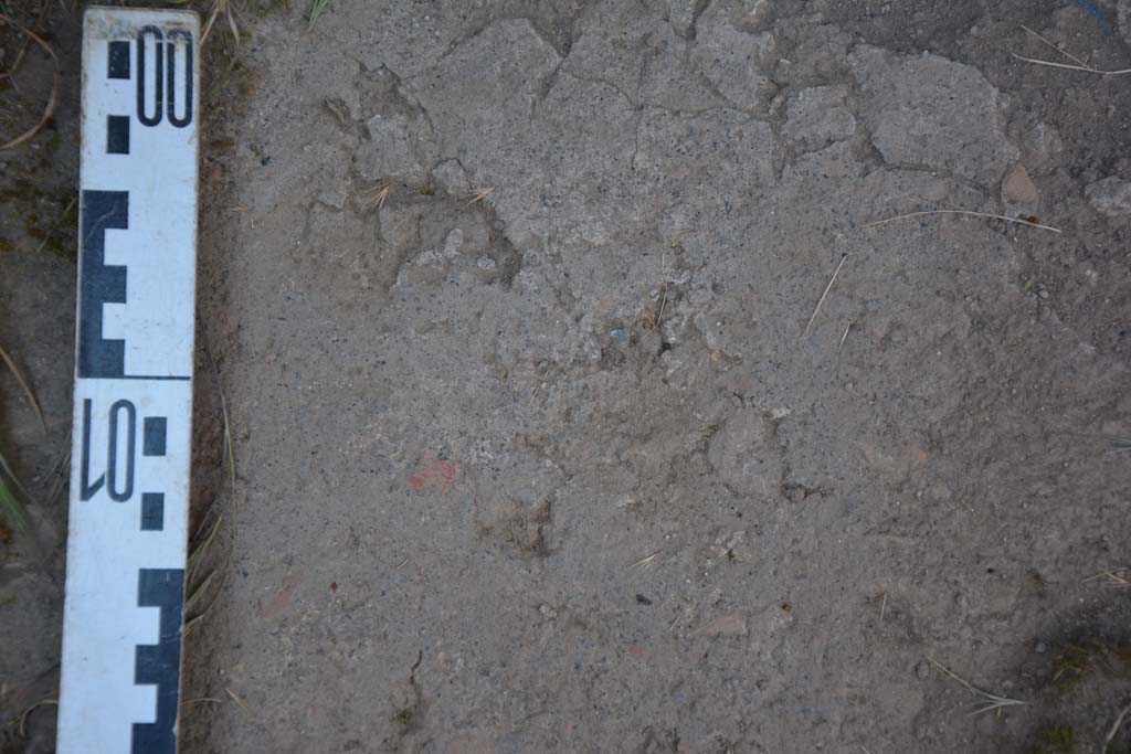 IX.5.11 Pompeii. May 2017. Room o, detail of flooring.
Foto Christian Beck, ERC Grant 681269 DCOR.
