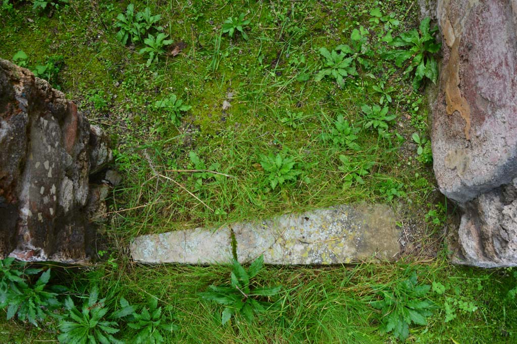 IX.5.11 Pompeii. March 2017. Room p, doorway threshold.
Foto Christian Beck, ERC Grant 681269 DÉCOR.
