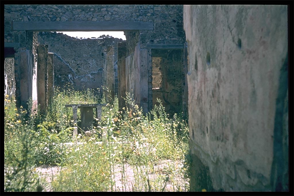 IX.5.11 Pompeii. Atrium. Looking south across impluvium to tablinum, from entrance.
Photographed 1970-79 by Günther Einhorn, picture courtesy of his son Ralf Einhorn.
