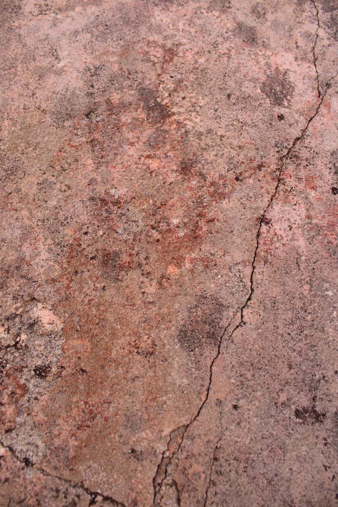 IX.5.14 Pompeii. May 2019. 
Room f, detail of figure of Muse Melpomene in centre of north panel on east wall.
Foto Christian Beck, ERC Grant 681269 DCOR.
