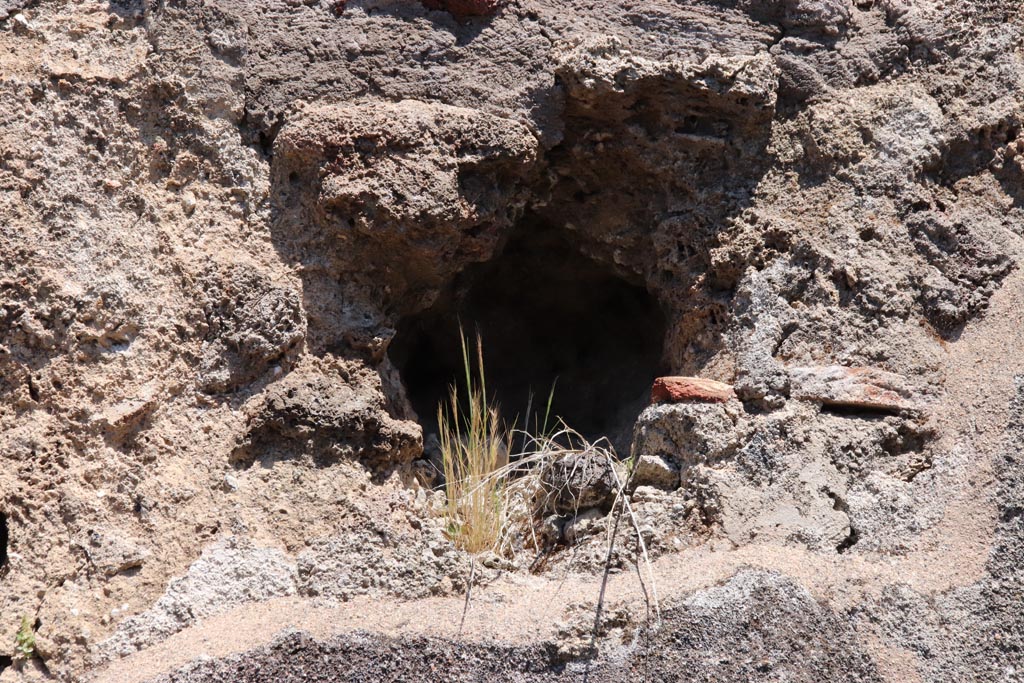 IX.6.7 Pompeii. May 2024. Room “q”, latrine, detail from east wall. Photo courtesy of Klaus Heese.