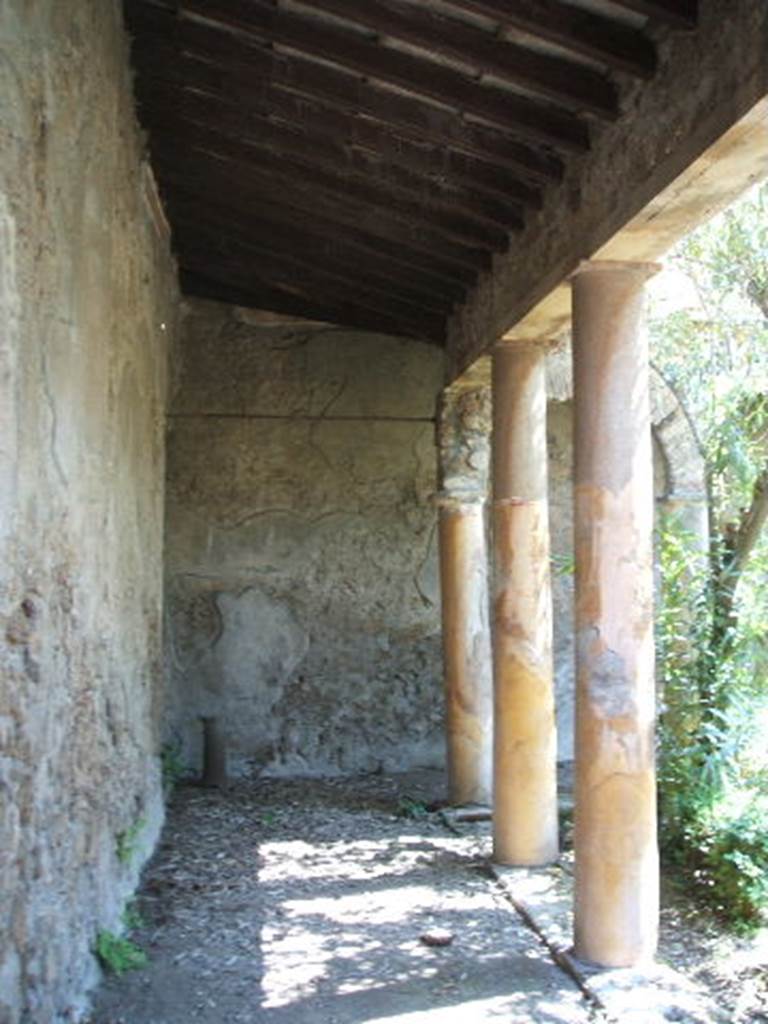 IX.7.20 Pompeii. May 2005. Looking east along north portico.