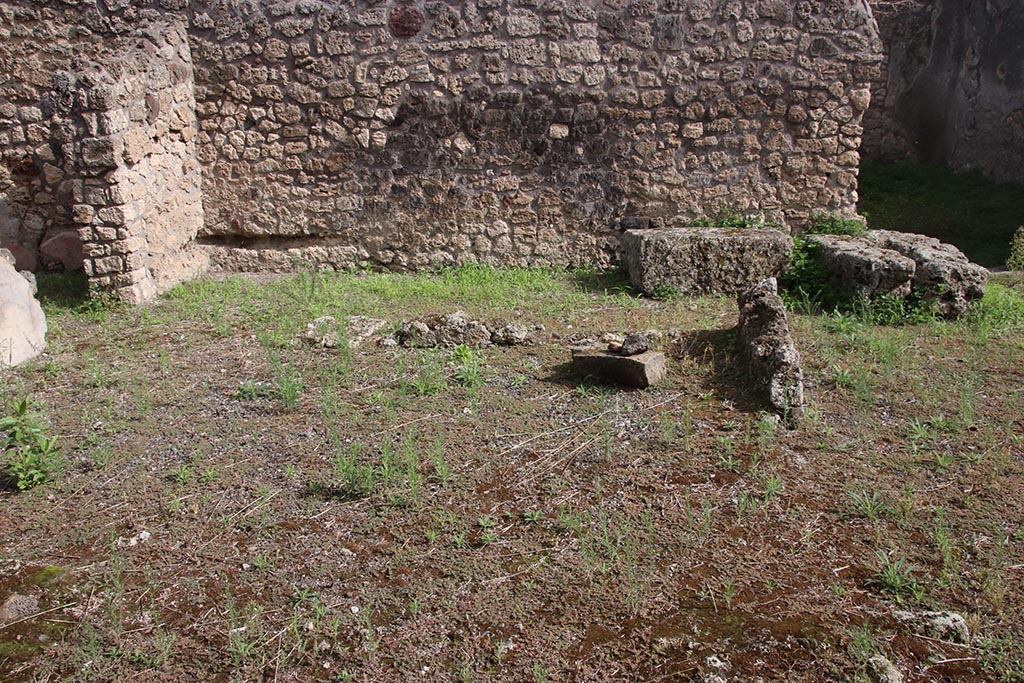 IX.7.21 Pompeii. October 2024. Detail from north-east corner of atrium. Photo courtesy of Klaus Heese.