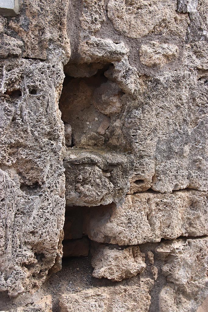 IX.7.25 Pompeii. October 2024. 
Detail from east wall of entrance corridor. Photo courtesy of Klaus Heese.
