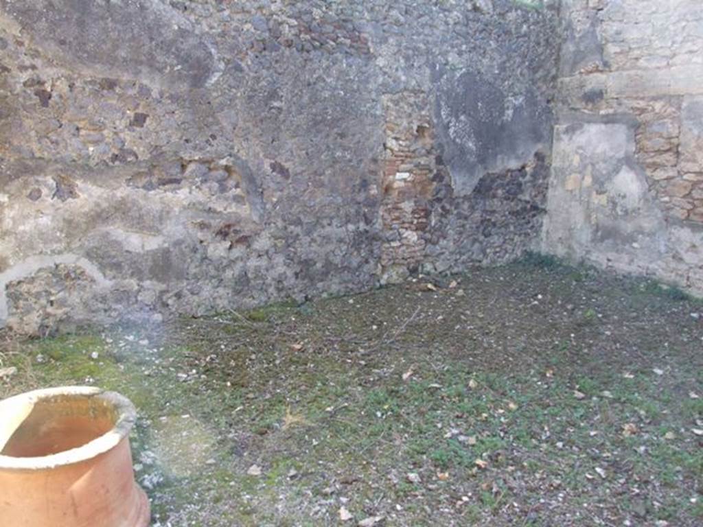 IX.9.11 Pompeii.  March 2009.  Room 6. Garden area.  South wall and south west corner, with remains of Lararium painting.