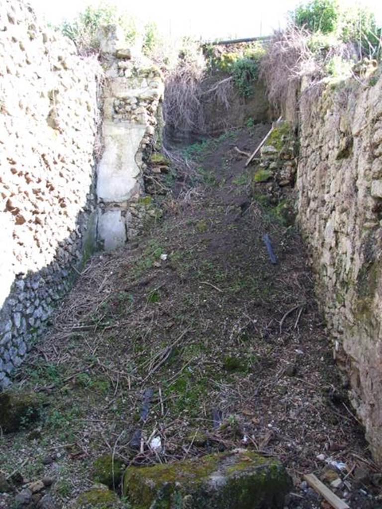 IX.9.13 Pompeii.  March 2009.  Room 5, Cubiculum.  Looking south into unexcavated.