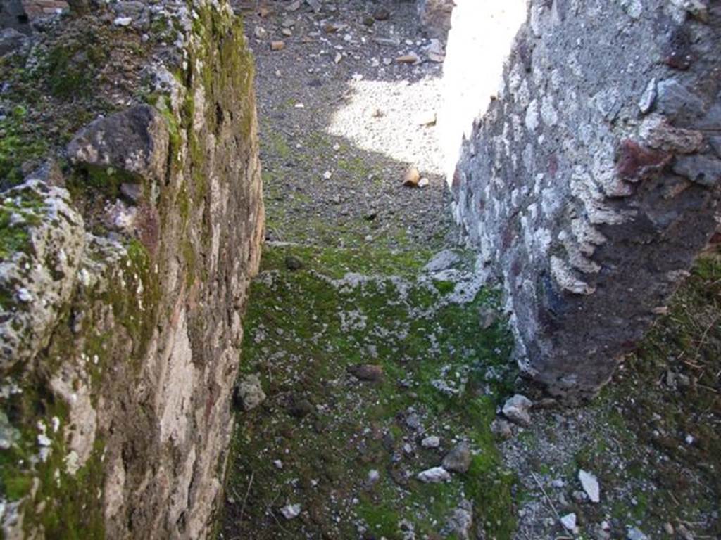 IX.9.a Pompeii.  March 2009.  Stairs down, from outside doorway to Cubiculum.