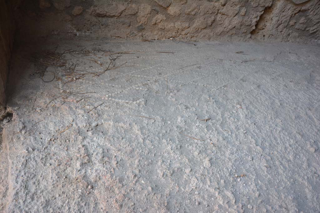 IX.14.4 Pompeii. July 2017. Room 31, looking south towards south-east corner and detail of flooring.
Foto Annette Haug, ERC Grant 681269 DÉCOR.

