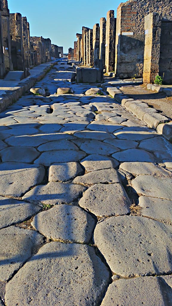 Via della Fortuna, Pompeii. 2017/2018/2019. 
Looking west from near VI.14.1, on right. Photo courtesy of Giuseppe Ciaramella.
