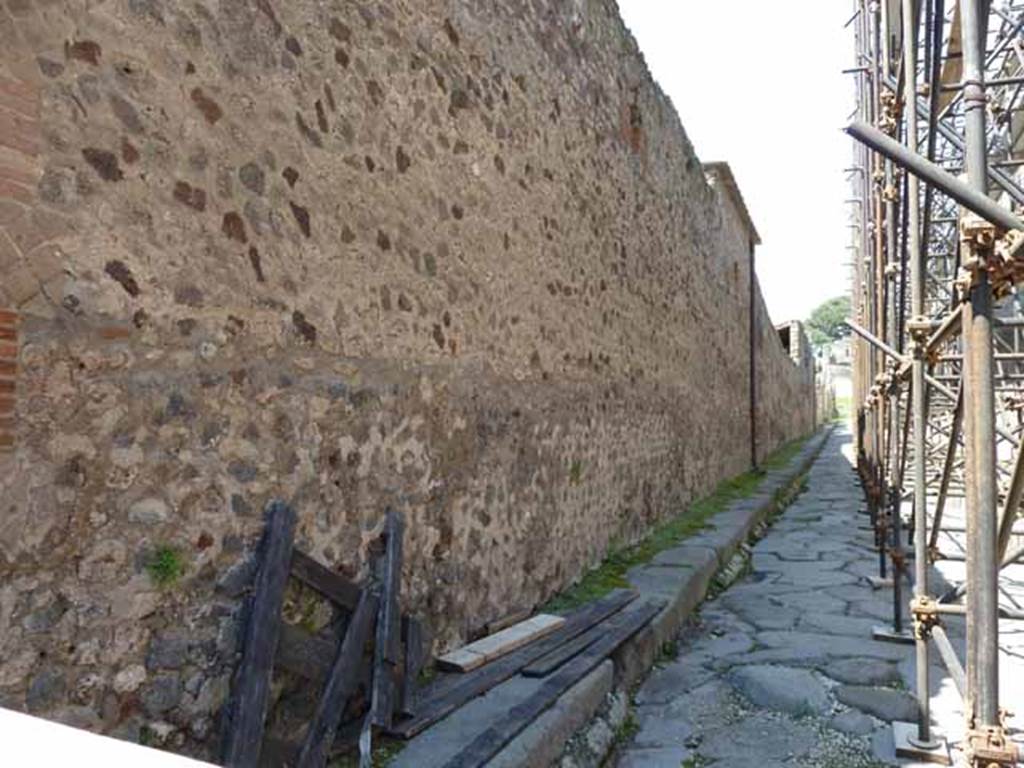 Vicolo del Labirinto, west side. May 2010. Looking north between VI.11 and VI.15.