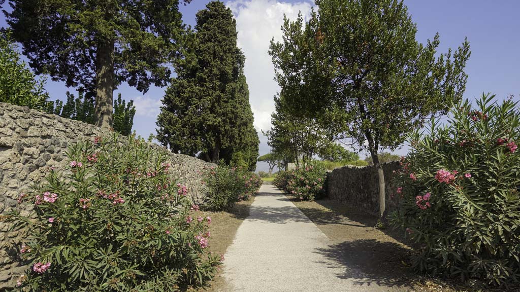 Vicolo dell’Anfiteatro, south end. August 2021. Looking north towards Via dell’Abbondanza. Photo courtesy of Robert Hanson.