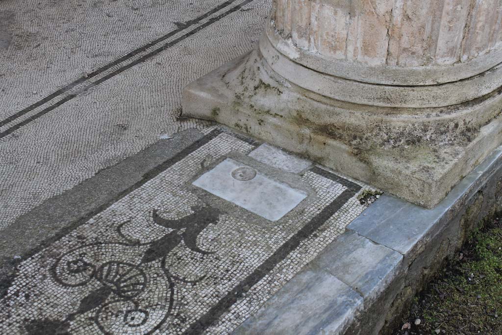 Oplontis Villa of Poppea, March 2014. Room 21, looking towards west end of central mosaic threshold.
Foto Annette Haug, ERC Grant 681269 DÉCOR.

