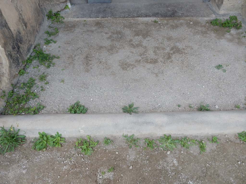 Stabiae, Villa Arianna, June 2019. Room 24, vestibule flooring. Photo courtesy of Buzz Ferebee.
According to Gardelli and Ariano –
“In the years 2010-2013, the extension of the cleaning works along the north-west side of the square peristyle has further highlighted the presence of a cut (2.30 x 1.28m) visible at floor level inside the vestibule (46) in front of the atrium of Villa Arianna. ………….
(Note: we number this vestibule, above, as part of room 24, the atrium).
Here, on 15 September 1761, four years after the discovery of the mosaic of room 27, the threshold in opus tessellatum was identified inside the vestibule, on which the word SALVE was clearly legible. …………”
See Gardelli, P., and Ariano, C. Two lesser-known mosaic floors from the 18th Century excavations of Villa Arianna at Stabia. (p.139-142).



