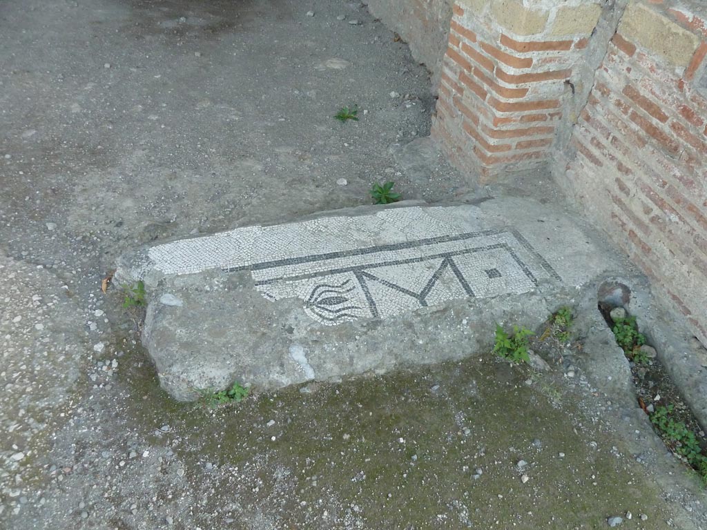 Stabiae, Villa Arianna, September 2015. Room on north side of tablinum, looking south towards remains of mosaic floor.