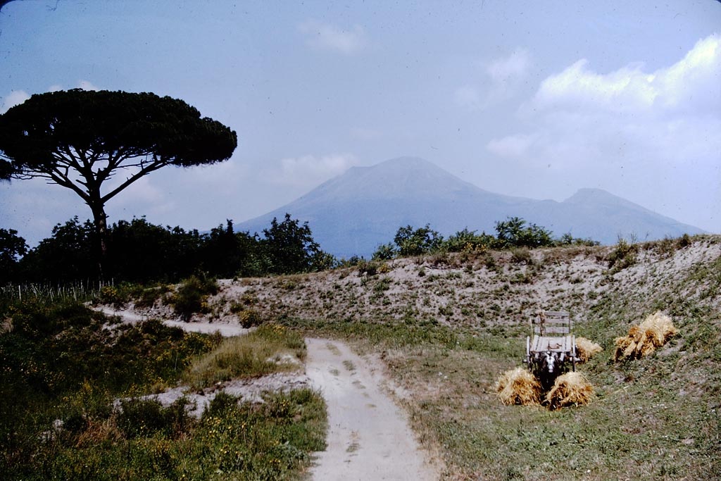 Looking north to Vesuvius. 1964. Photo by Stanley A. Jashemski.
Source: The Wilhelmina and Stanley A. Jashemski archive in the University of Maryland Library, Special Collections (See collection page) and made available under the Creative Commons Attribution-Non-commercial License v.4. See Licence and use details.
J64f1624
