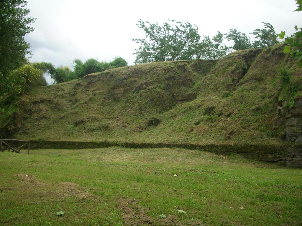 Walls on east side of Pompeii in north-east corner. May 2010. 
Looking south-west towards break in walling. Photo courtesy of Ivo van der Graaff.
