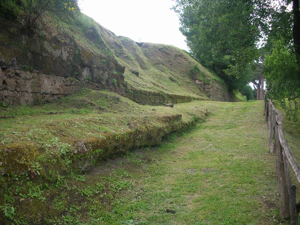 Walls on east side of Pompeii in north-east corner. May 2010. Looking north. Photo courtesy of Ivo van der Graaff.

