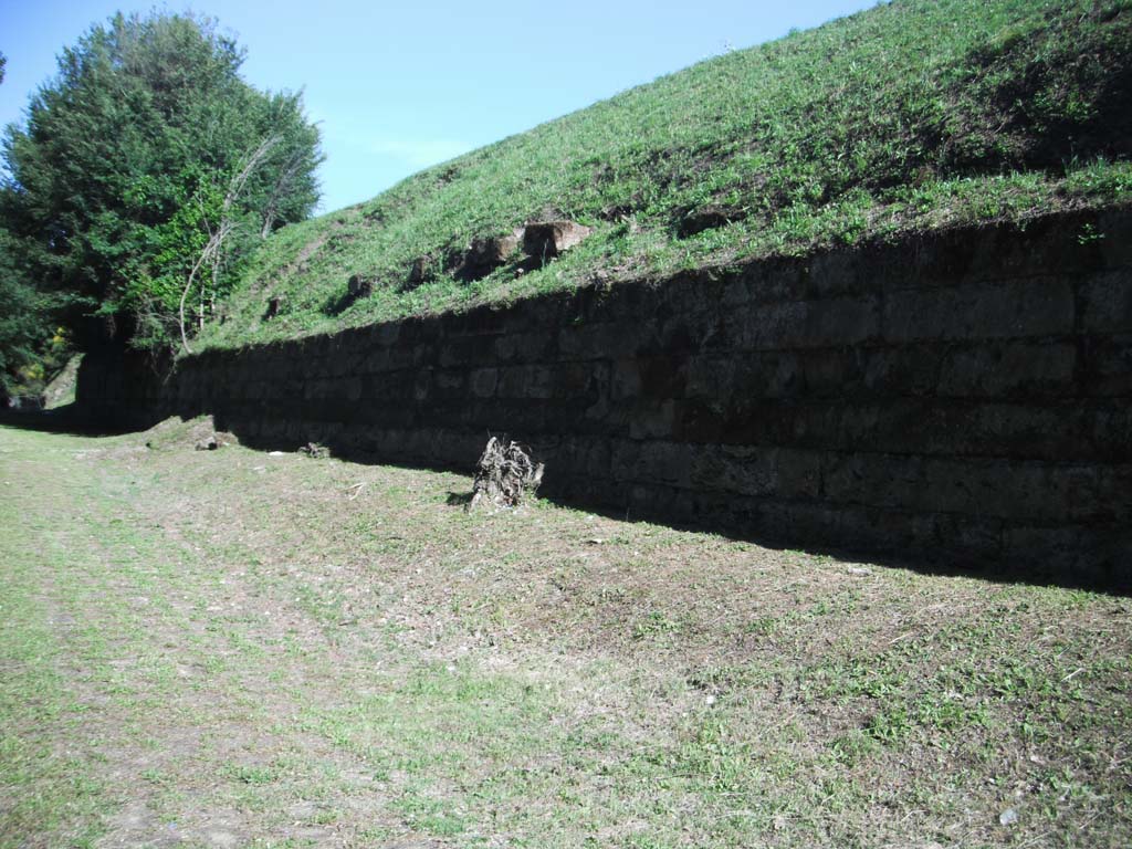 Walls on east side of Pompeii in north-east corner. June 2012. Detail. Photo courtesy of Ivo van der Graaff.